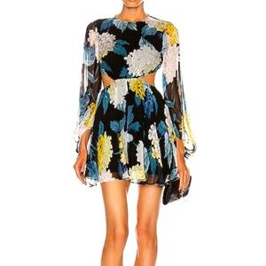 NWT Designer Cutout Dress